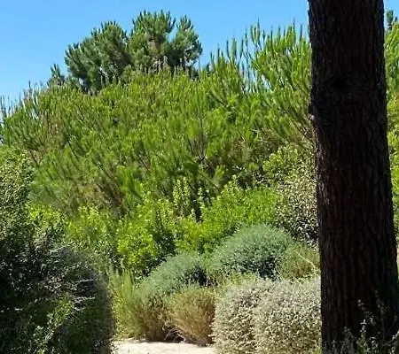 Casa Electra Σπίτι διακοπών